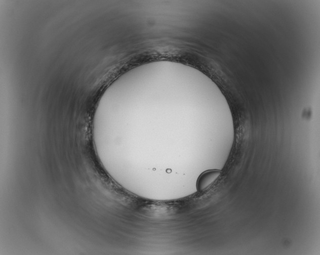 X0000112370464200909101325