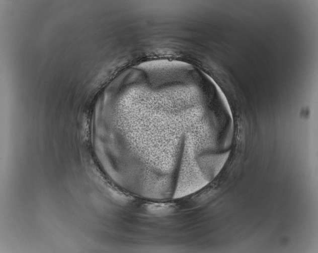 X0000112370465200909101325