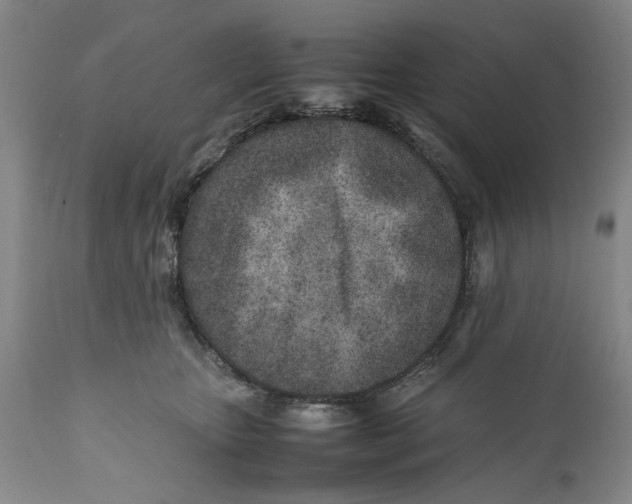X0000112370467200909101325