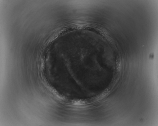 X0000112370471200909101326