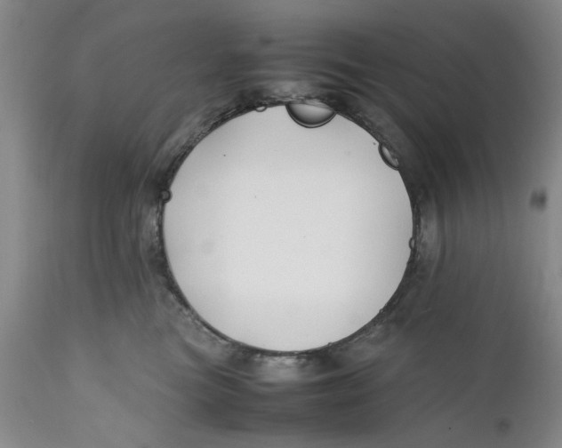 X0000112370473200909101326