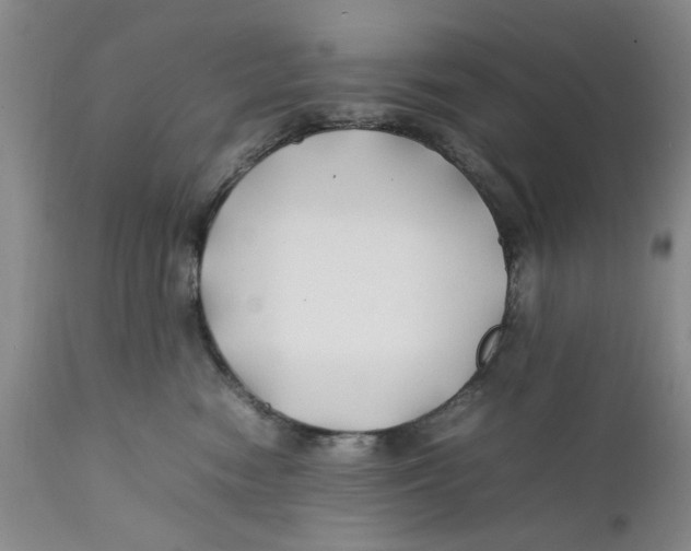 X0000112370474200909101326