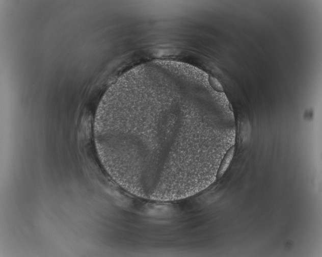 X0000112370475200909101326