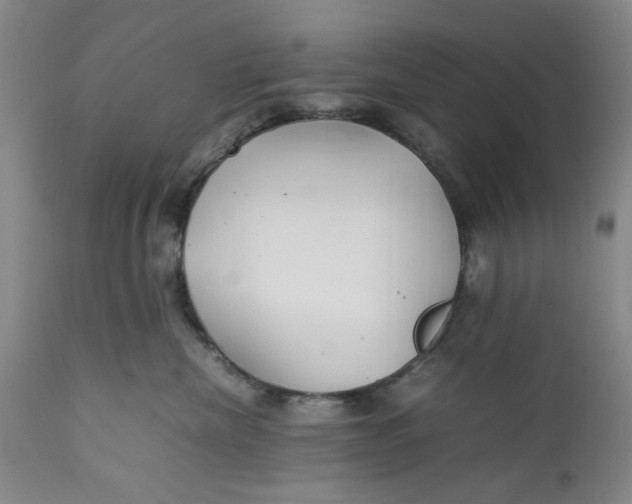 X0000112370476200909101326