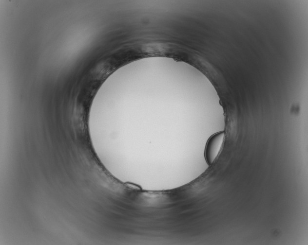 X0000112370477200909101326