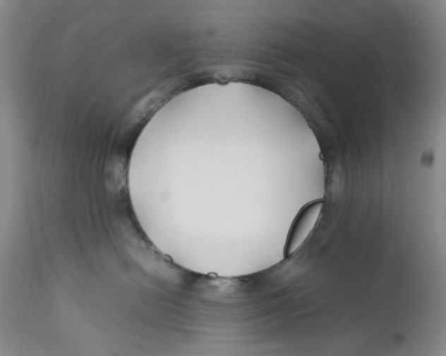 X0000112370478200909101326