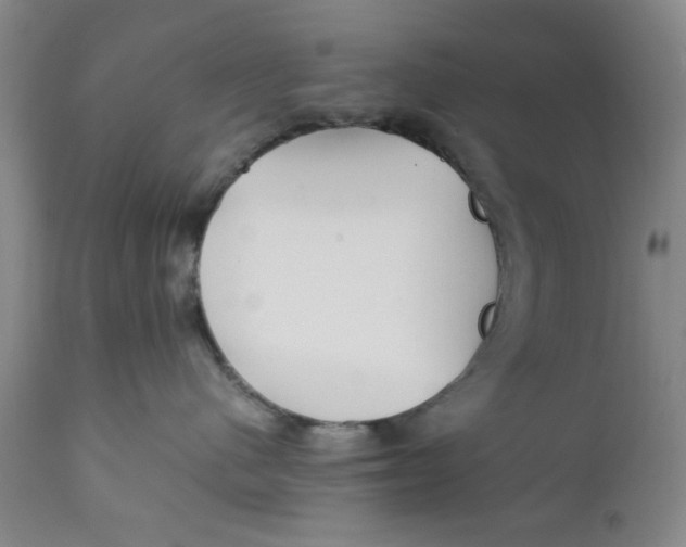 X0000112370480200909101326