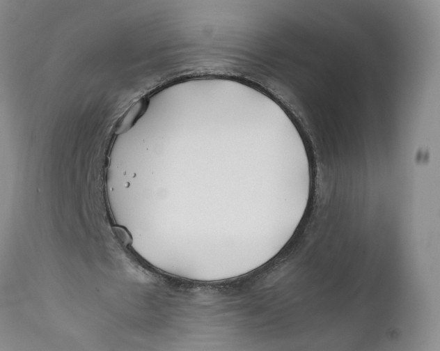 X0000112370481200909101325