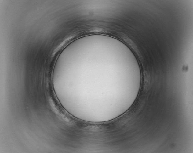 X0000112370482200909101325