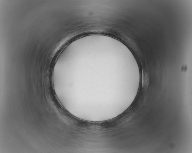 X0000112370483200909101325