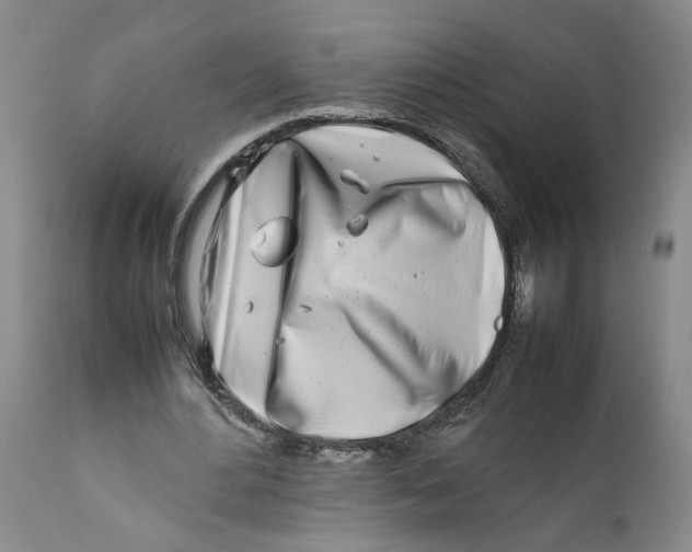 X0000112370484200909101325