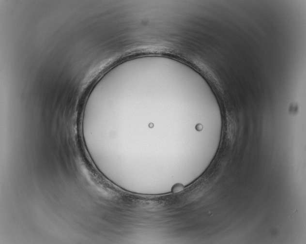 X0000112370486200909101325