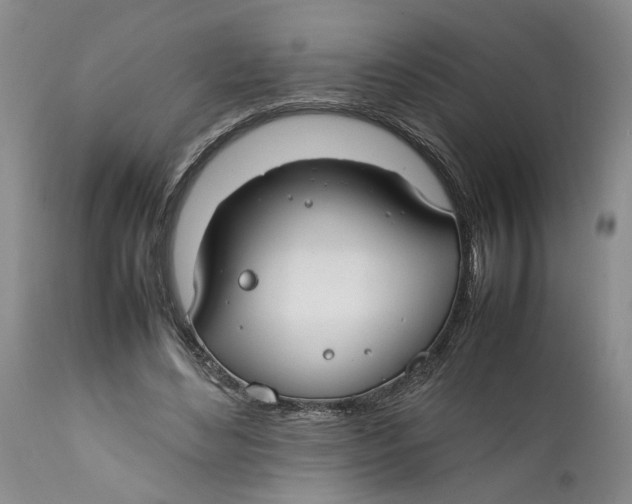X0000112370492200909101325