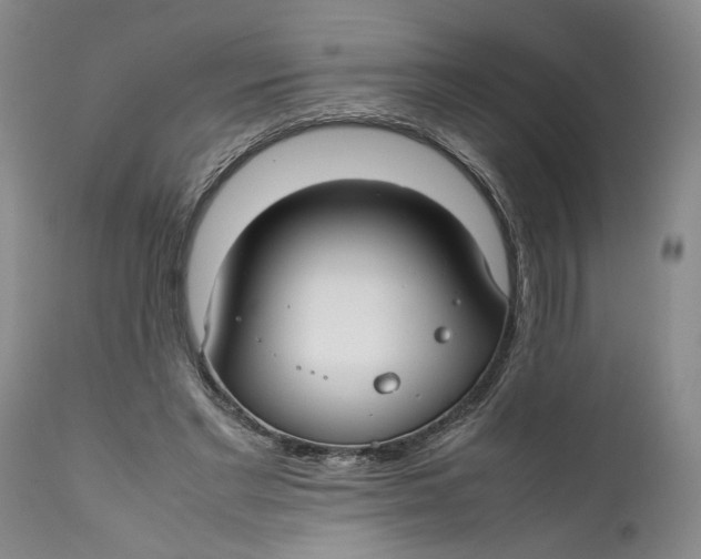 X0000112370493200909101325