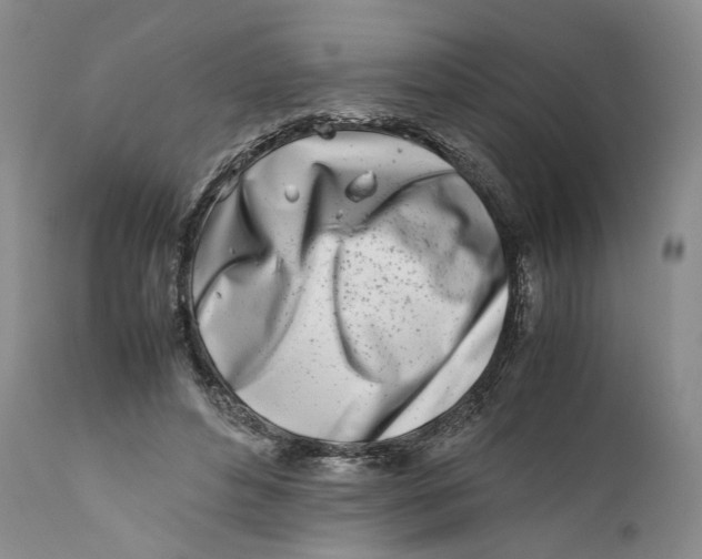 X0000112370496200909101325