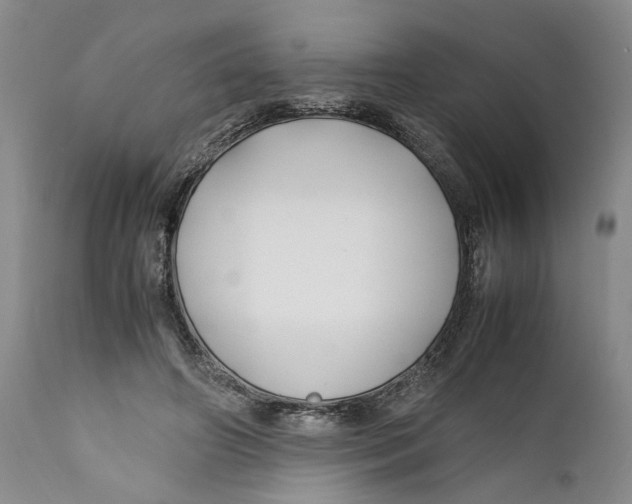X0000112370498200909101325