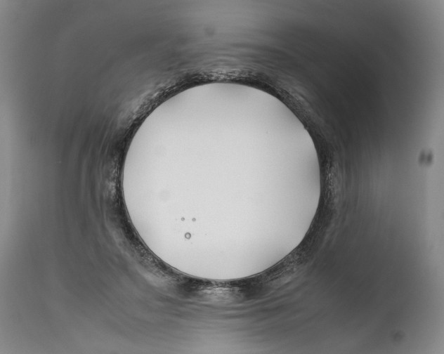 X0000112370499200909101325