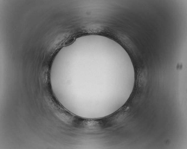 X0000112370501200909101325