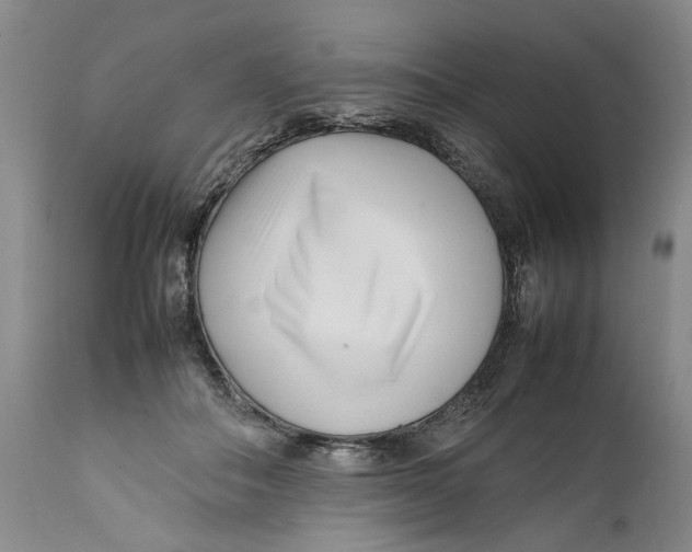 X0000112370506200909101325