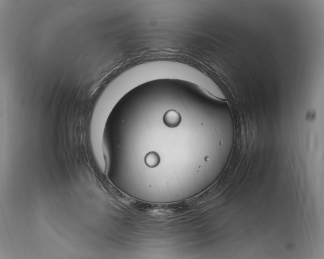 X0000112370508200909101325