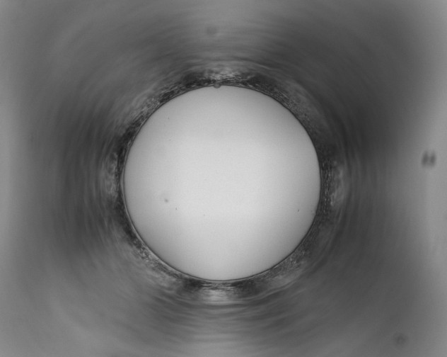 X0000112370510200909101325