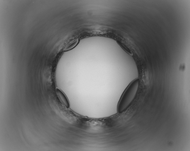 X0000112370512200909101325