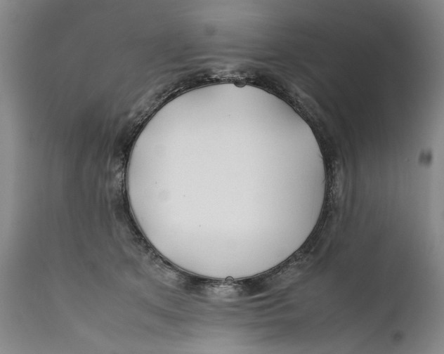 X0000112370513200909101325