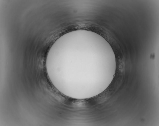 X0000112370514200909101325