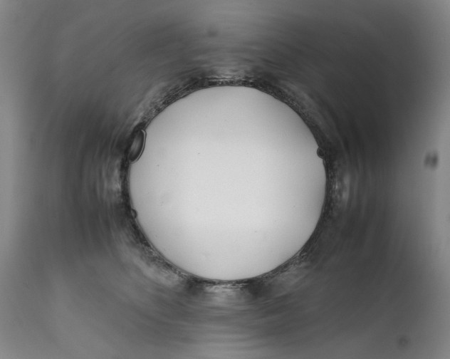 X0000112370516200909101324