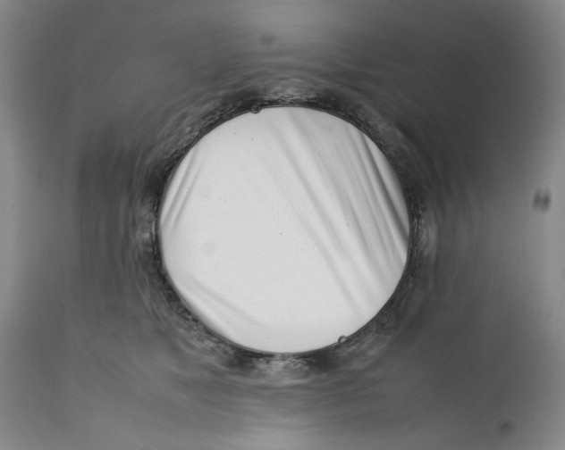 X0000112370517200909101324