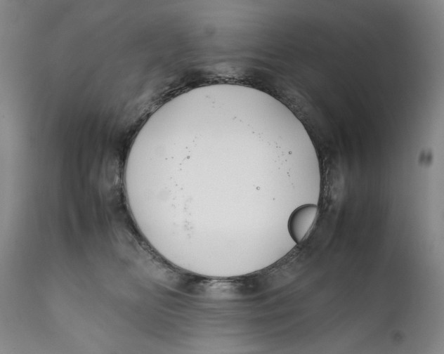 X0000112370518200909101324