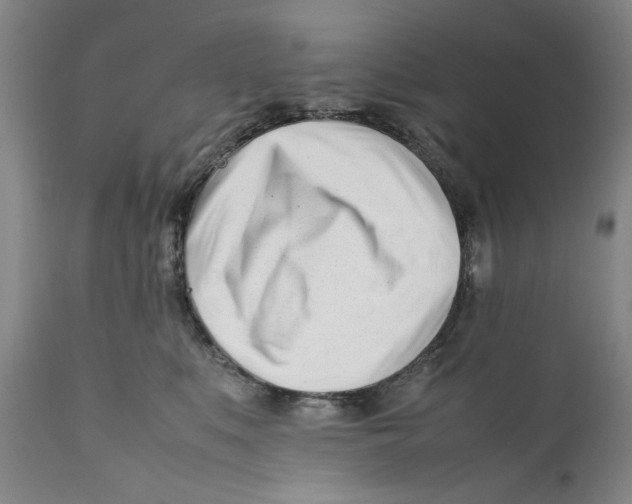 X0000112370519200909101324