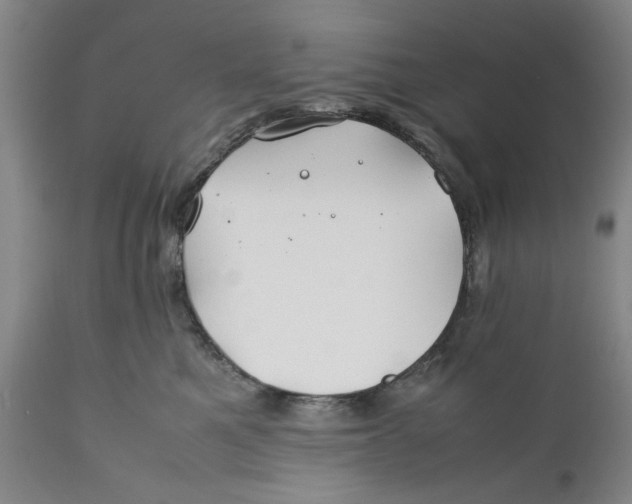 X0000112370521200909101324
