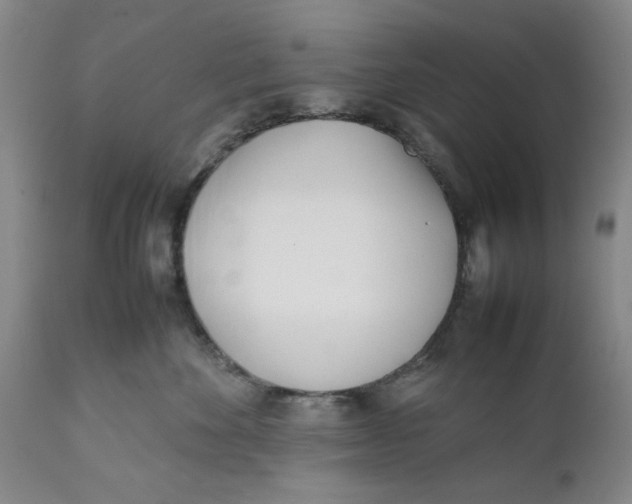 X0000112370524200909101324