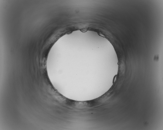 X0000112370525200909101324