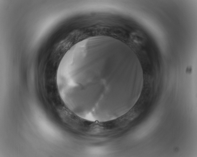 X0000112370526200909101324