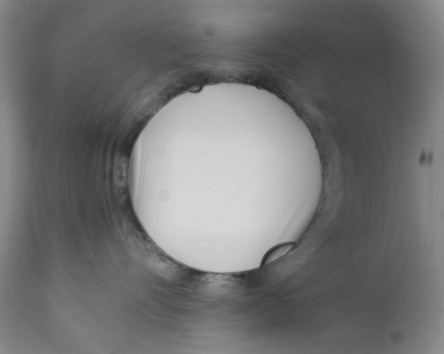 X0000112370528200909101324
