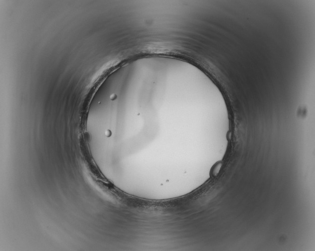 X0000112370530200909101323
