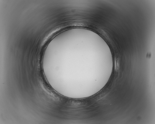 X0000112370531200909101323