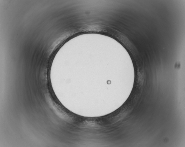 X0000112370534200909101323