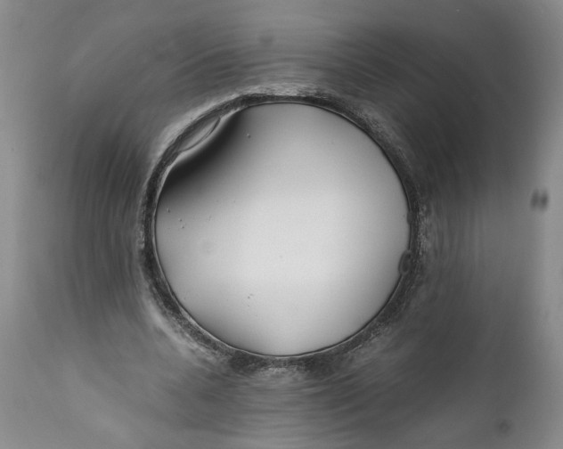 X0000112370536200909101324