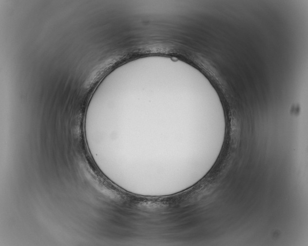 X0000112370537200909101324