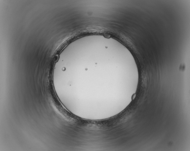 X0000112370538200909101324