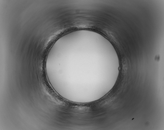 X0000112370539200909101324