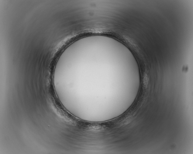 X0000112370540200909101324