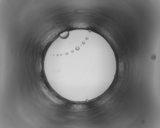 X0000112370541200909101324