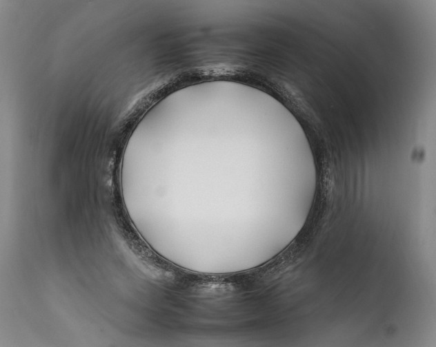 X0000112370543200909101324