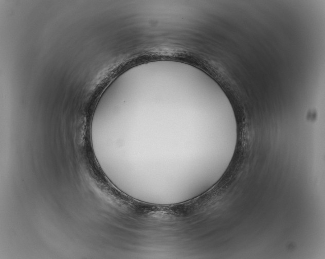 X0000112370544200909101324