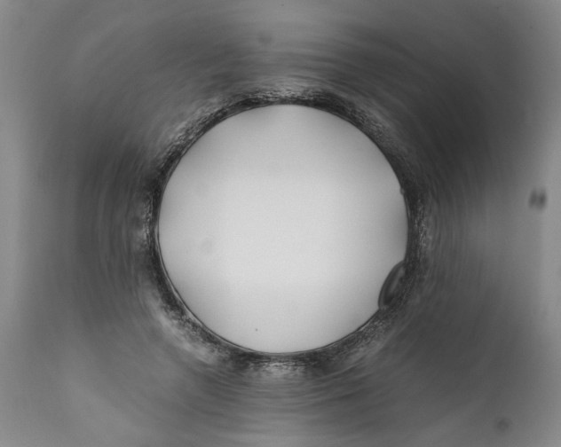 X0000112370546200909101324