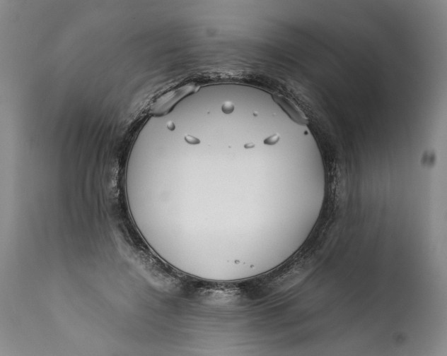 X0000112370548200909101324